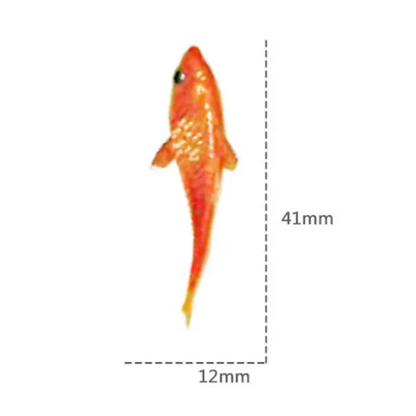 3D Resin Koi Fish Painting Sticker | Goldfish Stickers with 3D Effect | Koi Pond Clear Film | Filling Material for Resin Art (2 Sheets)