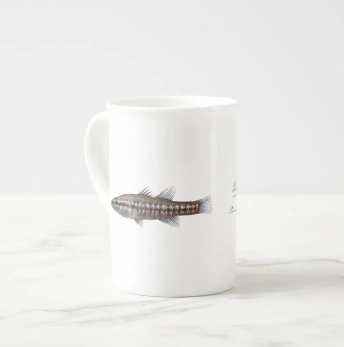 Balston's Pygmy Perch  - Fine Bone China Mug