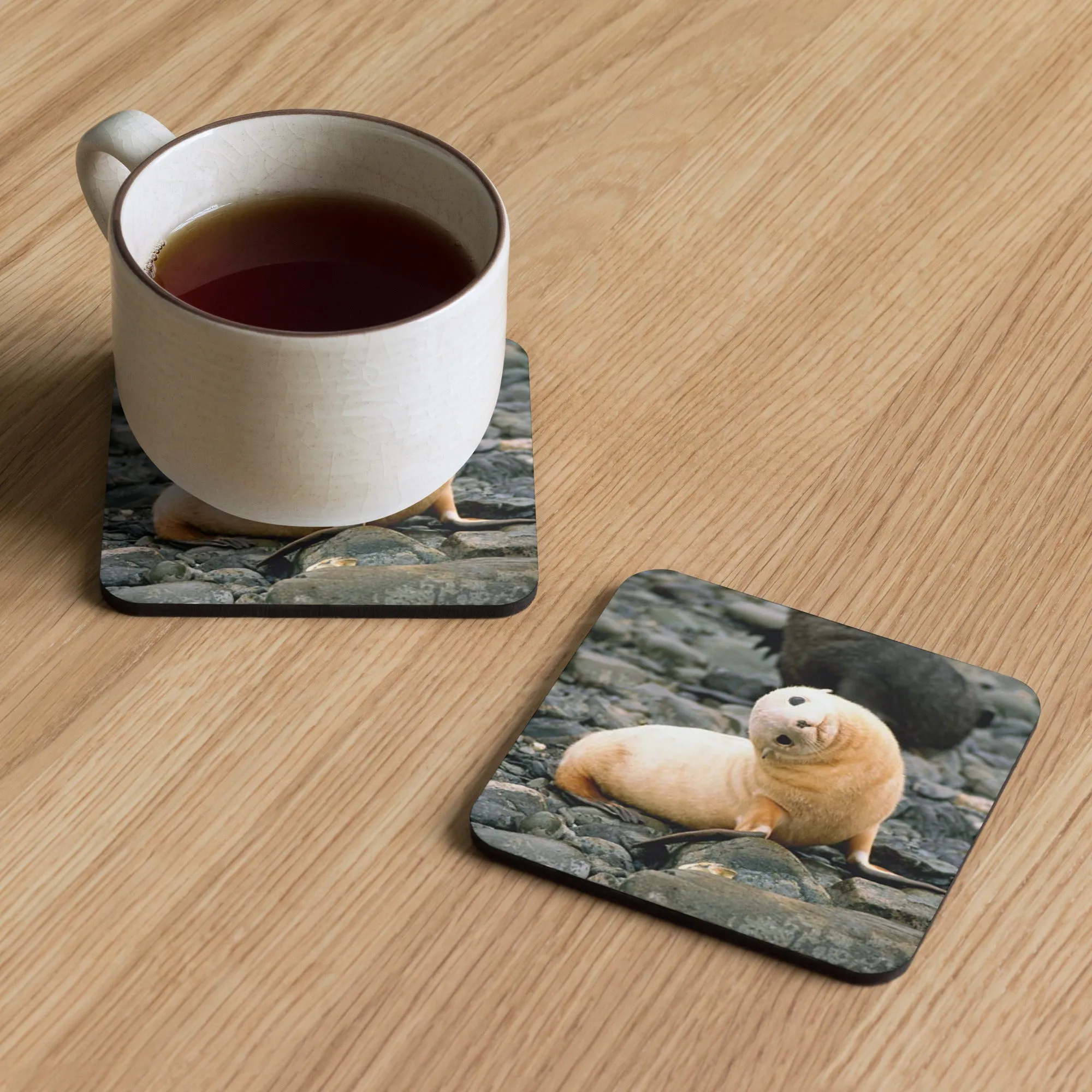 Gloss Coated Cork Backed Coaster - Baby Sea Lion