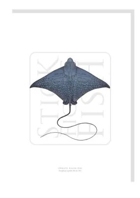 Ornate Eagle Ray - Fine Art Print