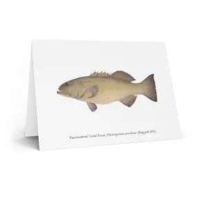 Passionfruit Coral Trout Greeting Card