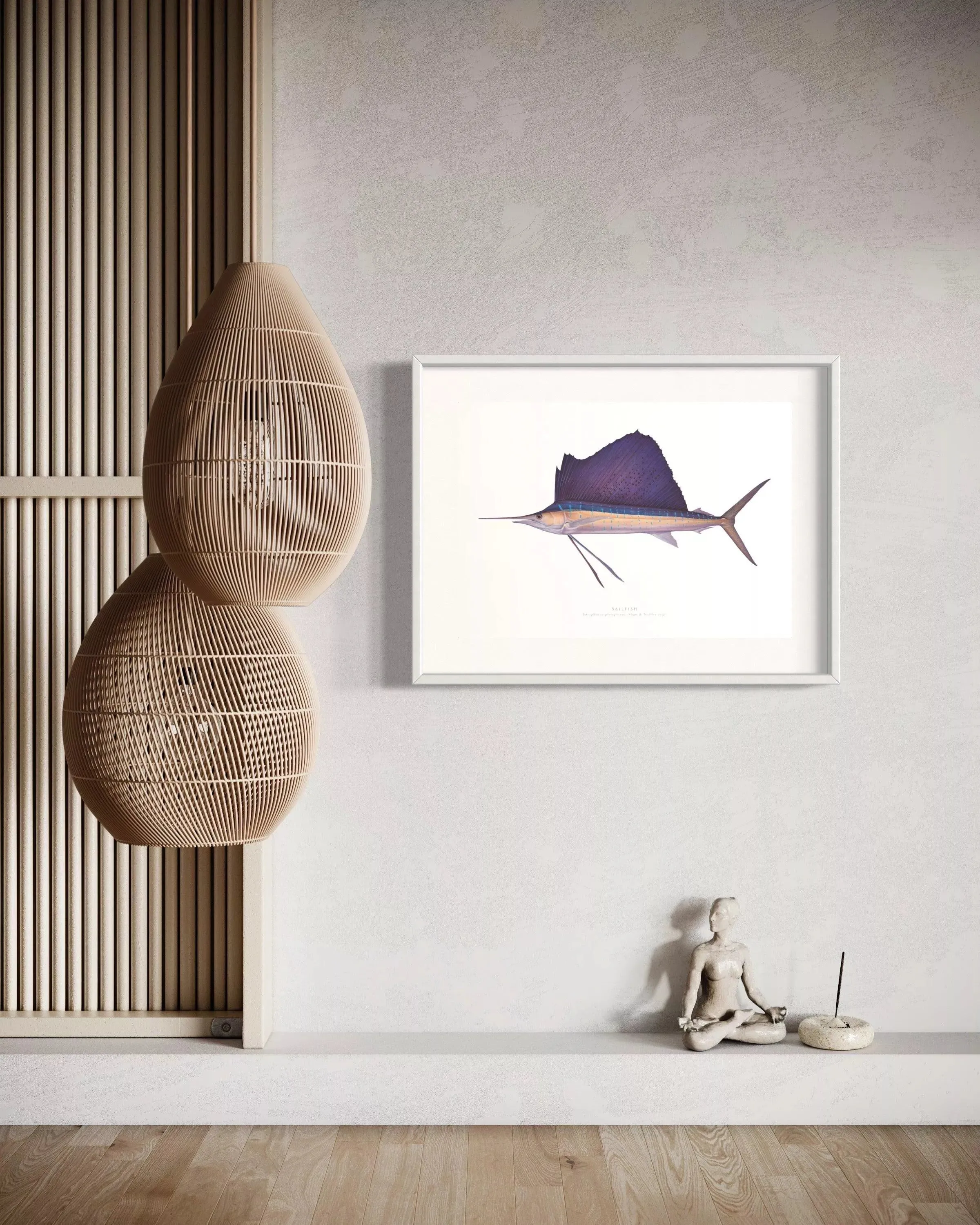 Sailfish - Istiophorus platypterus (Shaw & Nodder 1792) - Fine Art Print